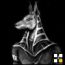 Zebra's Avatar